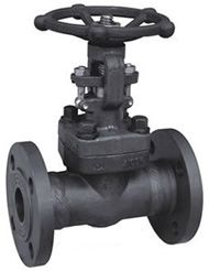 Z41Y鍛鋼法蘭閘閥